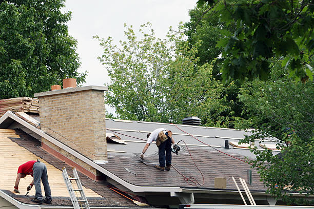 Best Roof Repair Services  in Mustang Ridge, TX